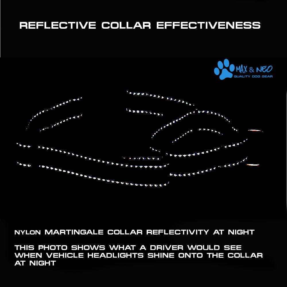 Max And Neo Nylon Martingale Collar - We Donate A Collar To A Dog Rescue For Every Collar Sold (X-Small, Orange)